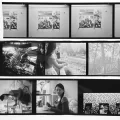 Permalink to Update on the Light Lens Lab black-and-white photographic film project