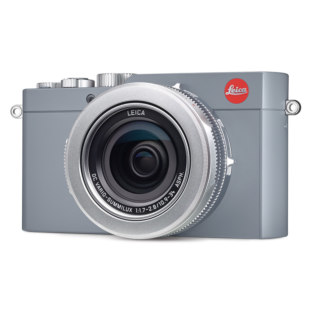Leica D-Lux Typ 109 vs Panasonic LX100 Detailed Comparison